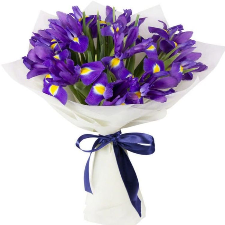 Волна от 4 900 руб.